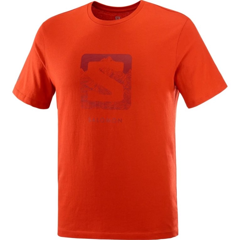 Camiseta Salomon Outlife Logo Curta Sleeve Masculino Laranja | PT W09643